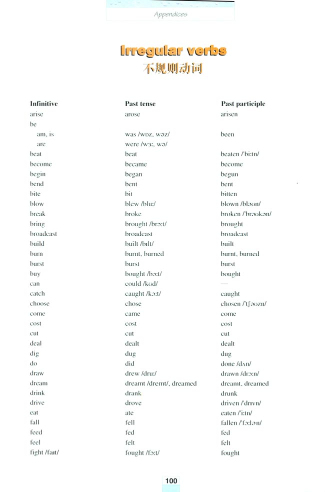 Appendices 附录(第100页)