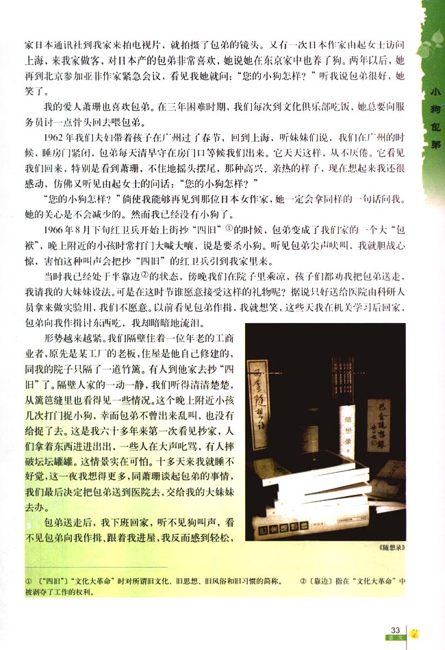 8 小狗包弟(第33页)