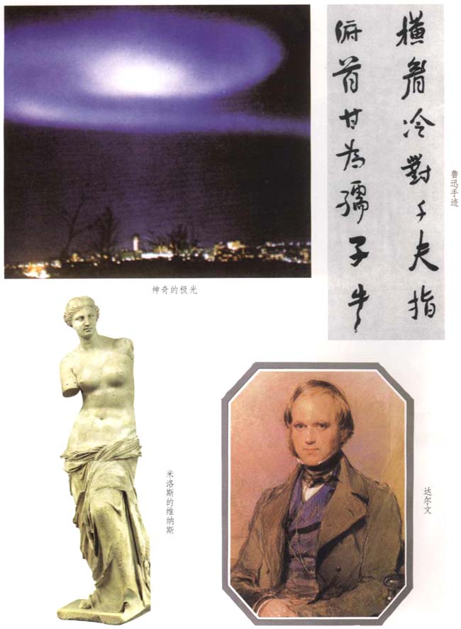 封面/前言/目录