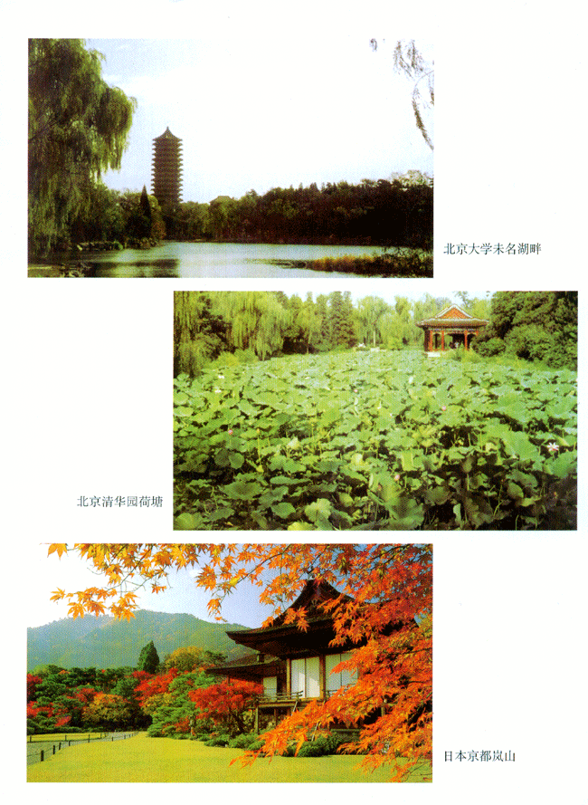 封面/前言/目录