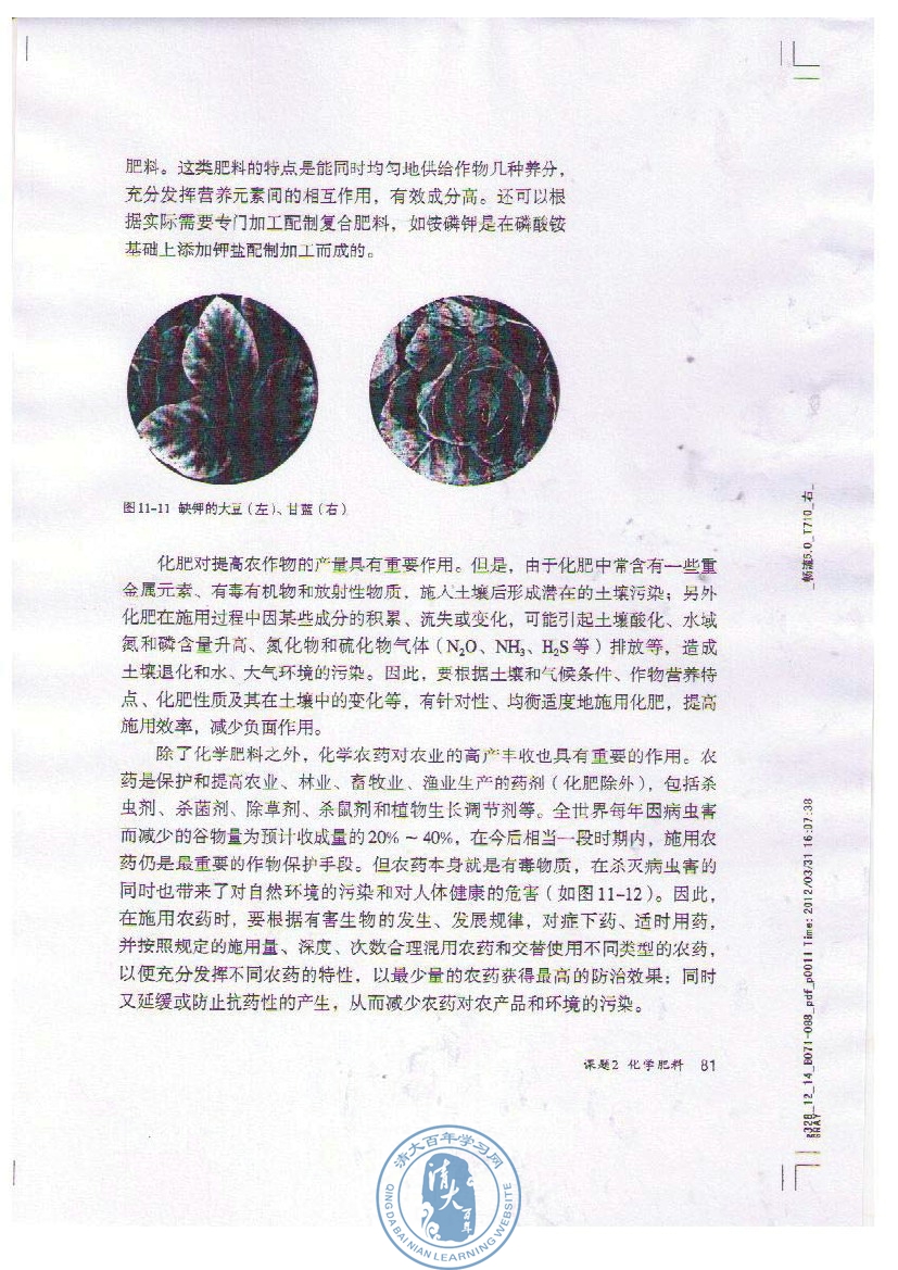 课题2 化学肥料(第81页)