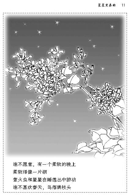 3 星星变奏曲(第10页)