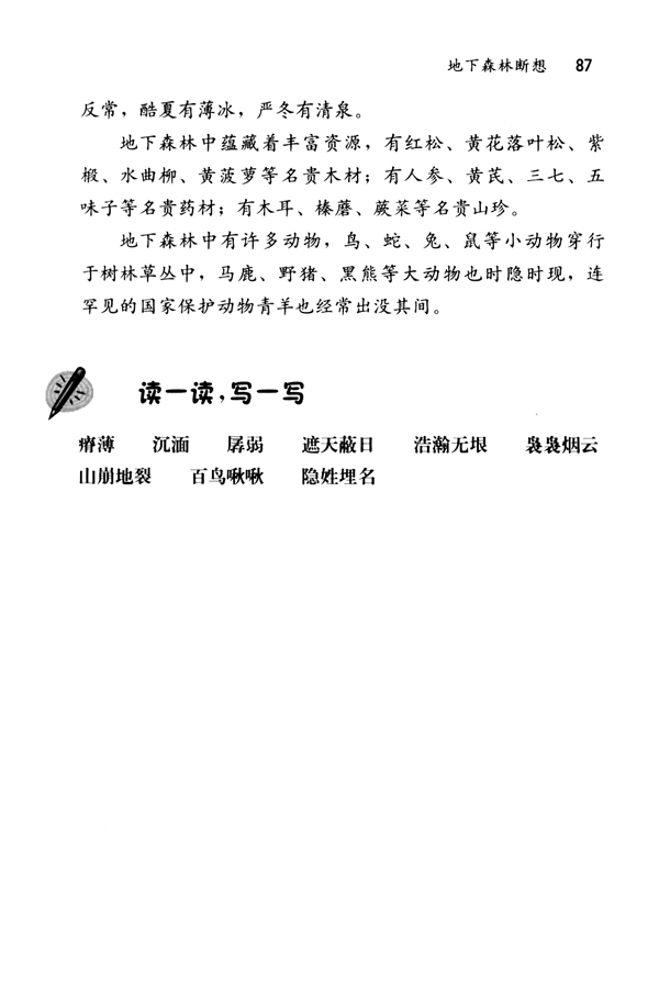 11 地下森林断想(第87页)