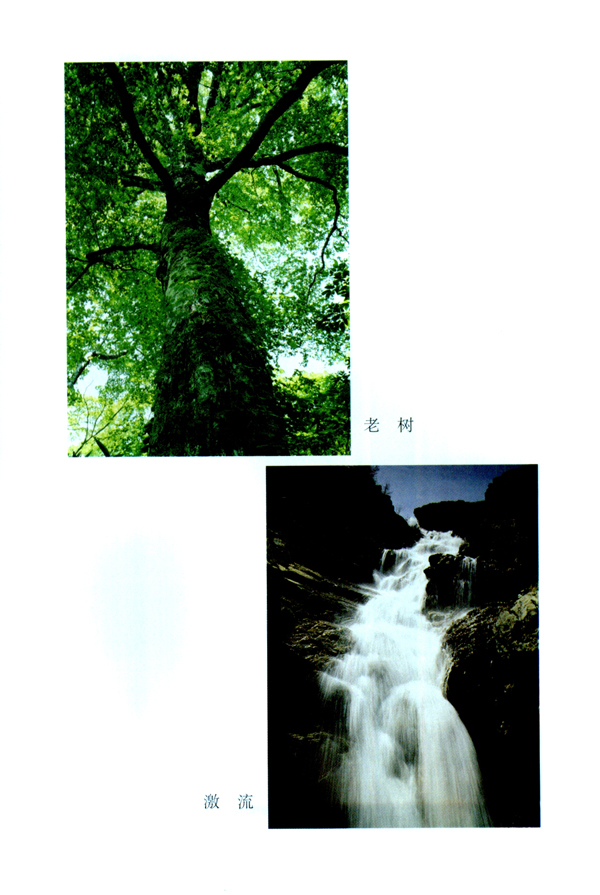 封面/前言/目录