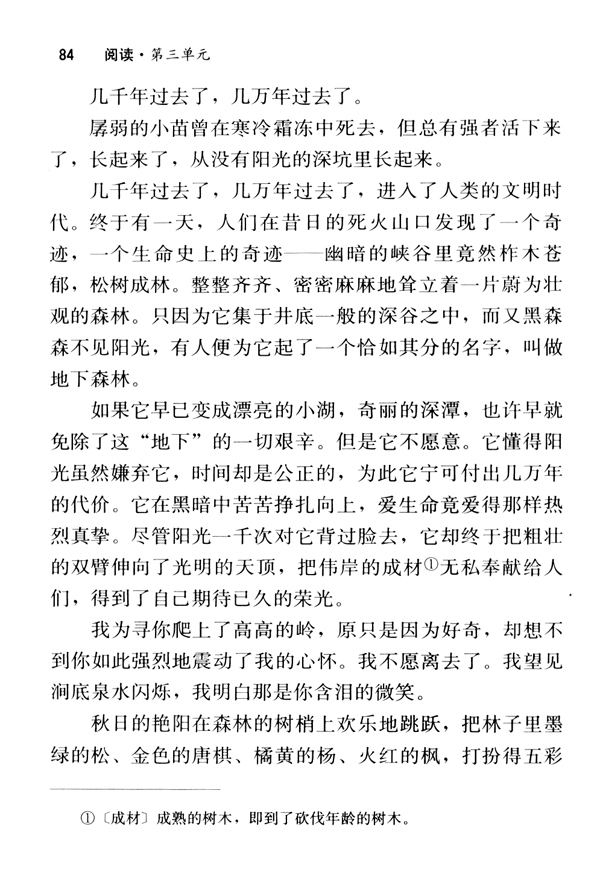 11 地下森林断想(第84页)