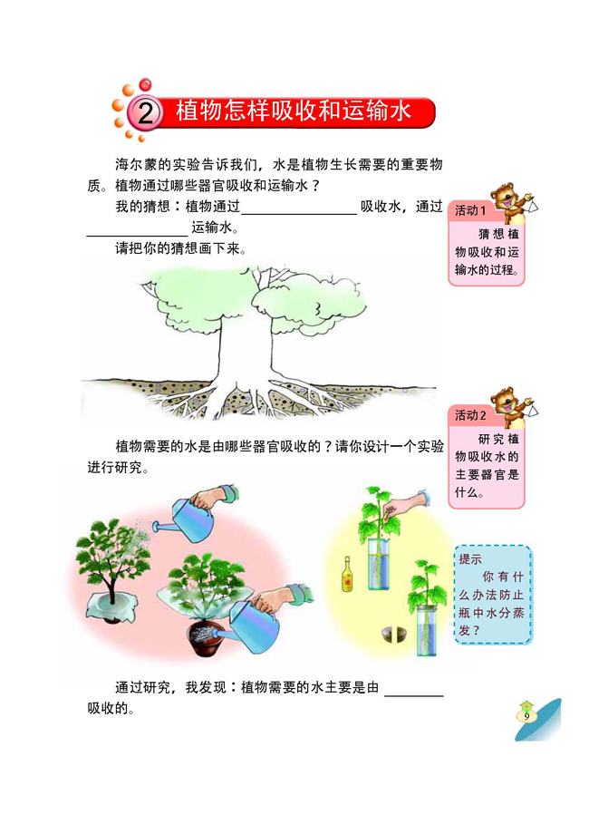2 植物怎样吸收和运输水(第10页)