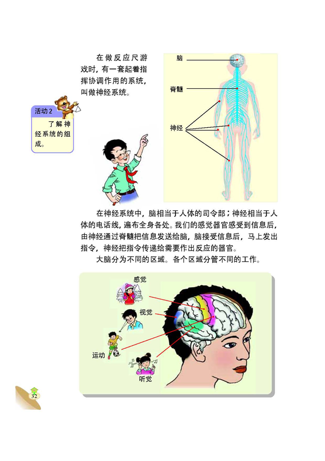 5 信息在人体中的传递(第32页)