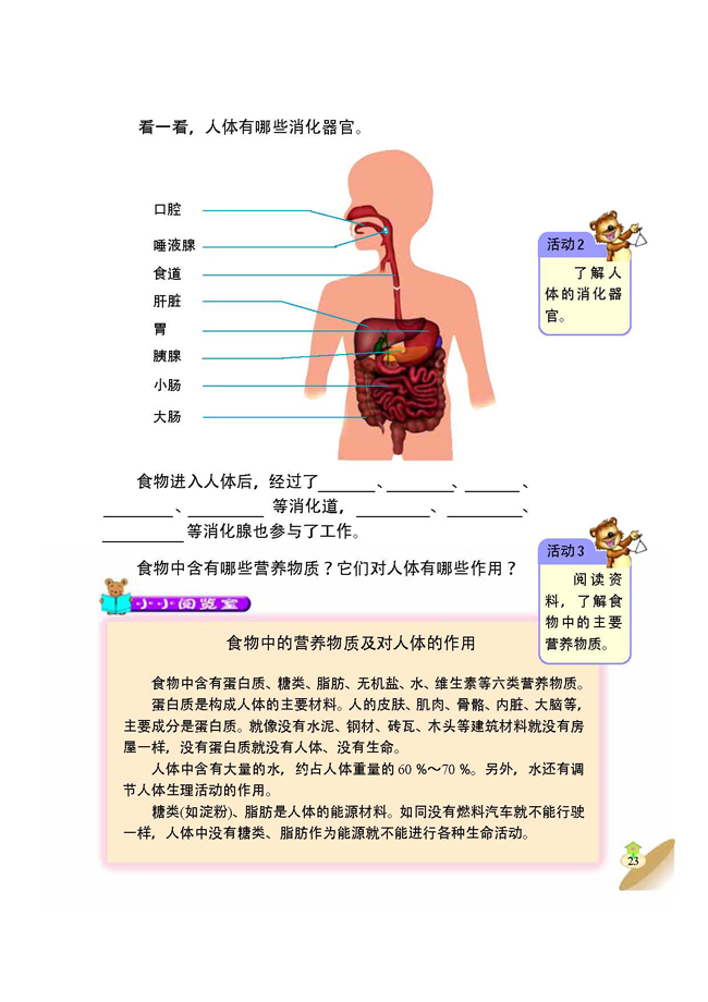 2 食物在人体内的旅行(第23页)