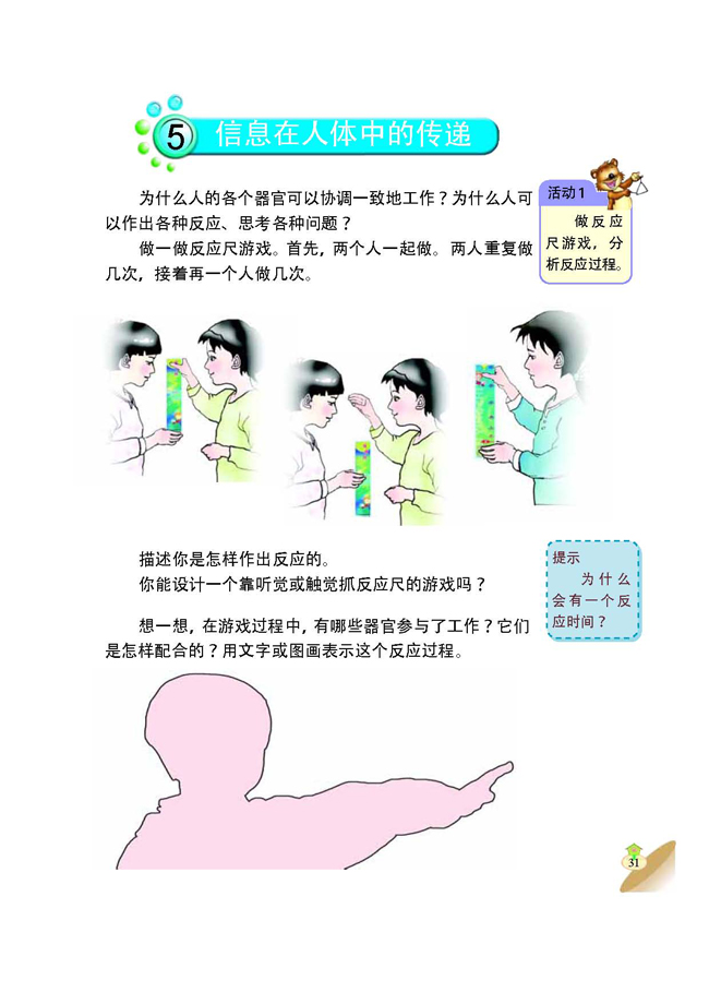 5 信息在人体中的传递(第31页)