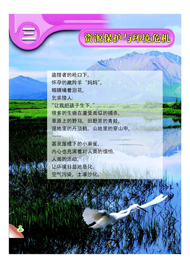 三 资源保护与环境危机(第40页)
