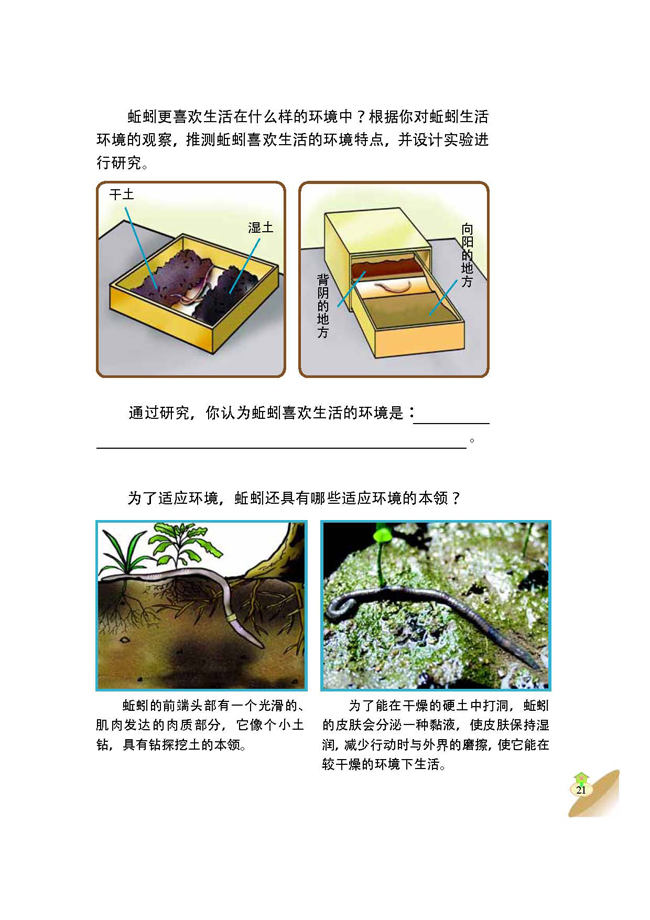 1 动物与环境(第21页)