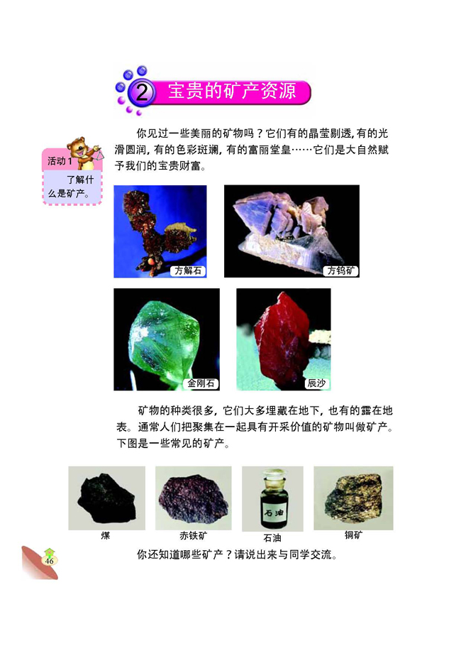 2 宝贵的矿产资源(第46页)