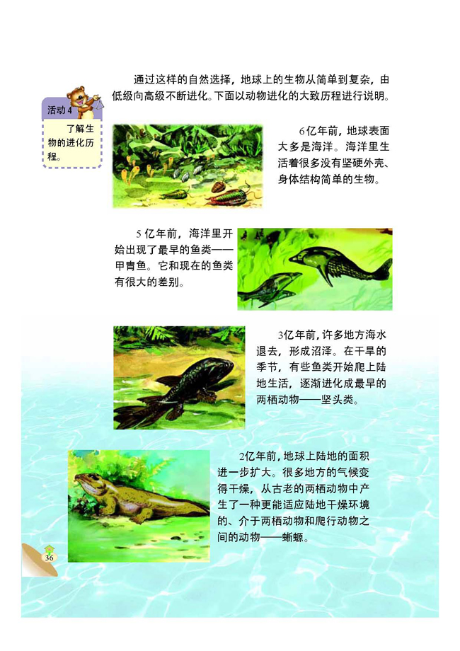 4 生物的进化(第36页)