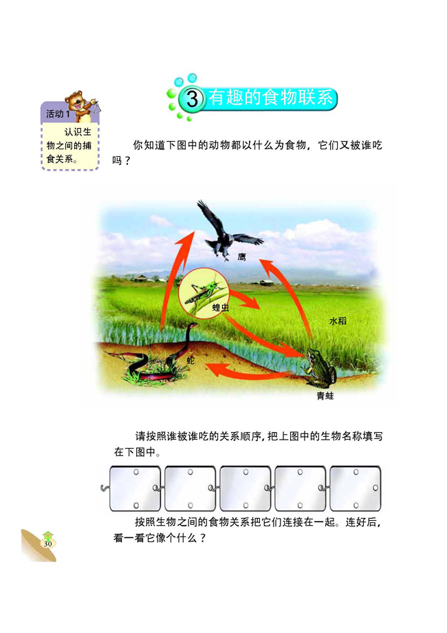 3 有趣的食物联系(第30页)
