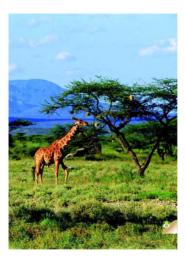 二 生物与环境(第19页)