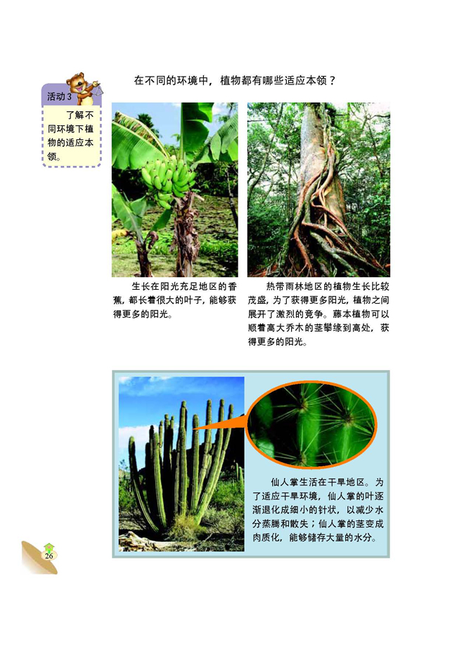 2 植物与环境(第26页)