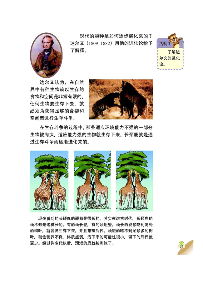 4 生物的进化(第35页)