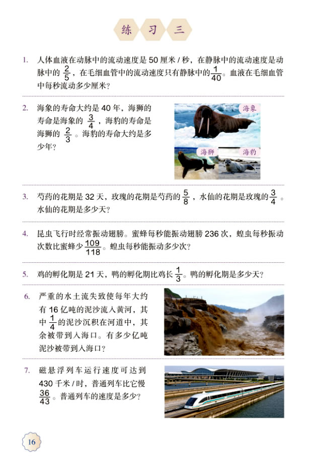 1 分数乘法(第16页)