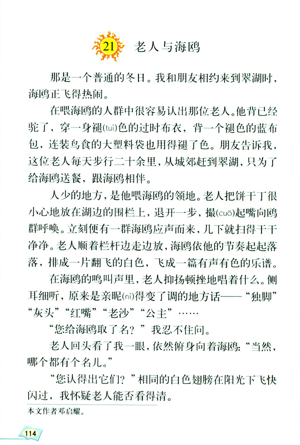 21 老人与海鸥(第114页)