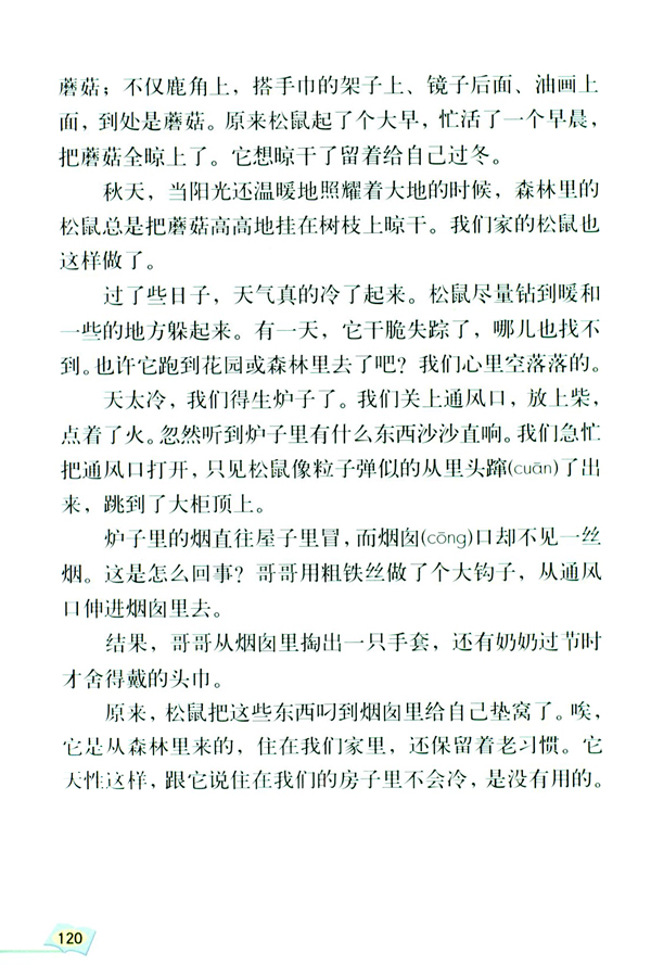 22* 跑进家来的松鼠(第120页)