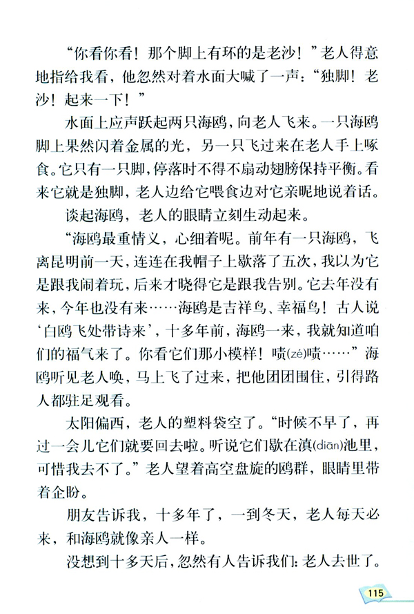 21 老人与海鸥(第115页)