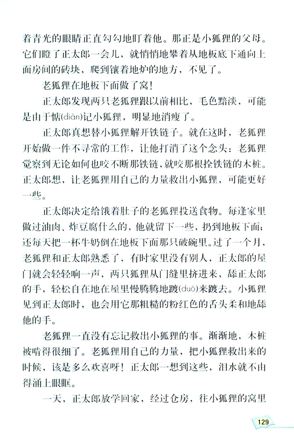 24* 金色的脚印(第129页)