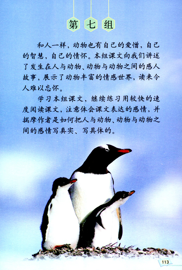 第七组(第113页)