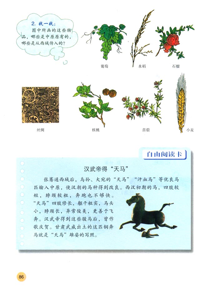 第15课 汉通西域和丝绸之路(第86页)