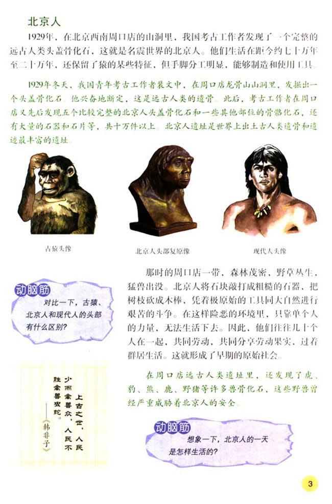 第1课 祖国境内的远古居民(第3页)