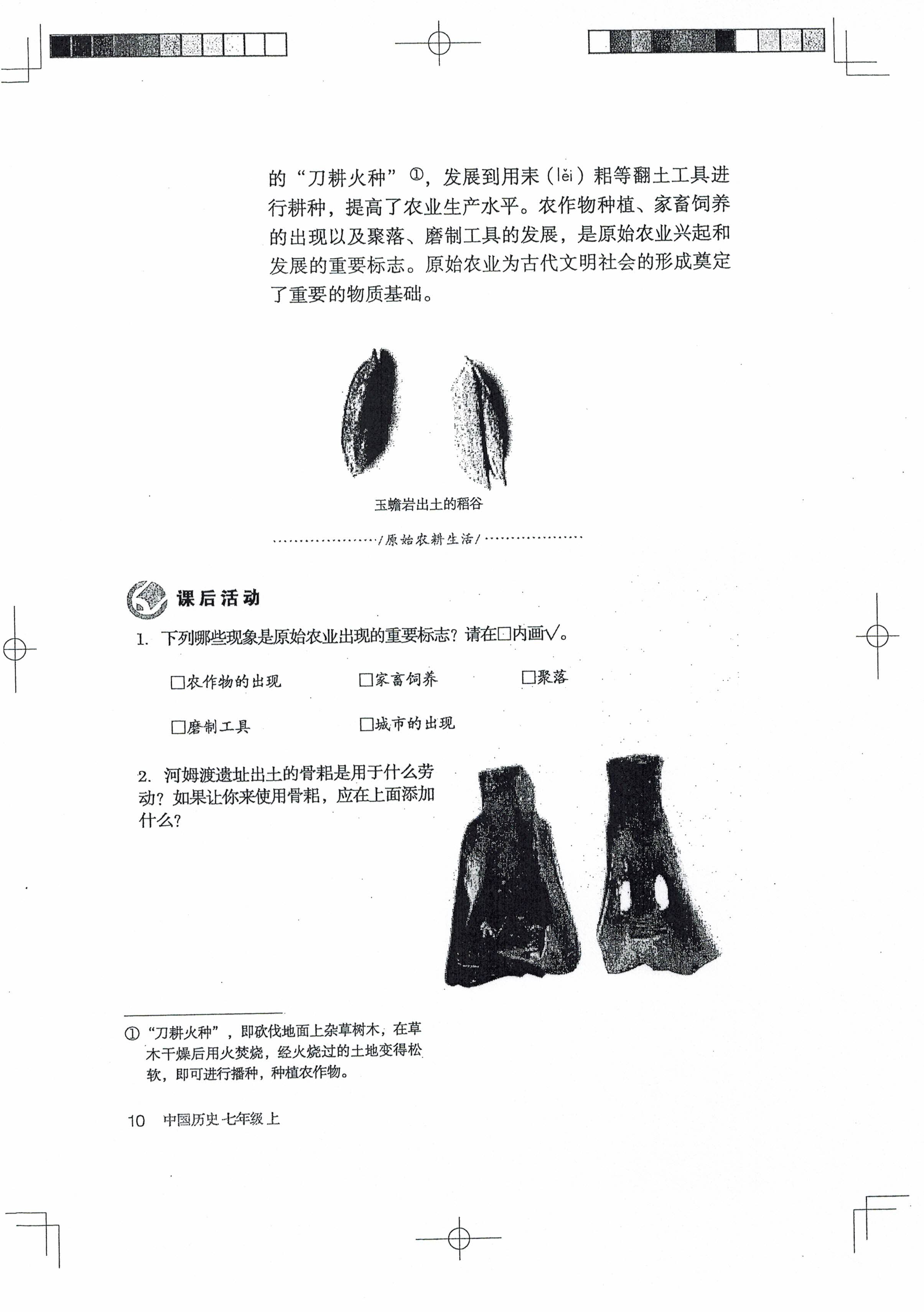 第2课 原始农耕生活(第10页)
