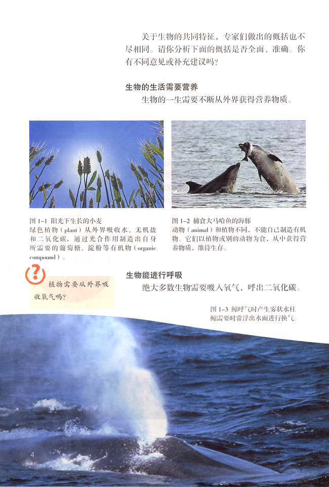 第一节 生物的特征(第3页)