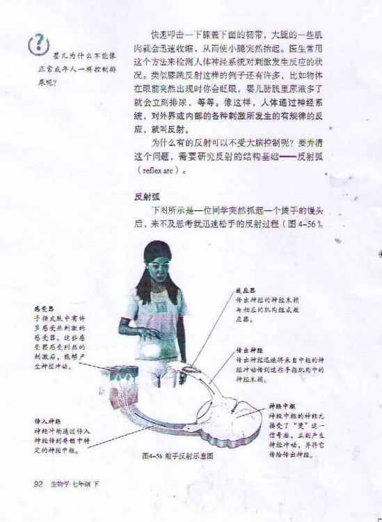 第三节 神经调节的基本方式(第92页)
