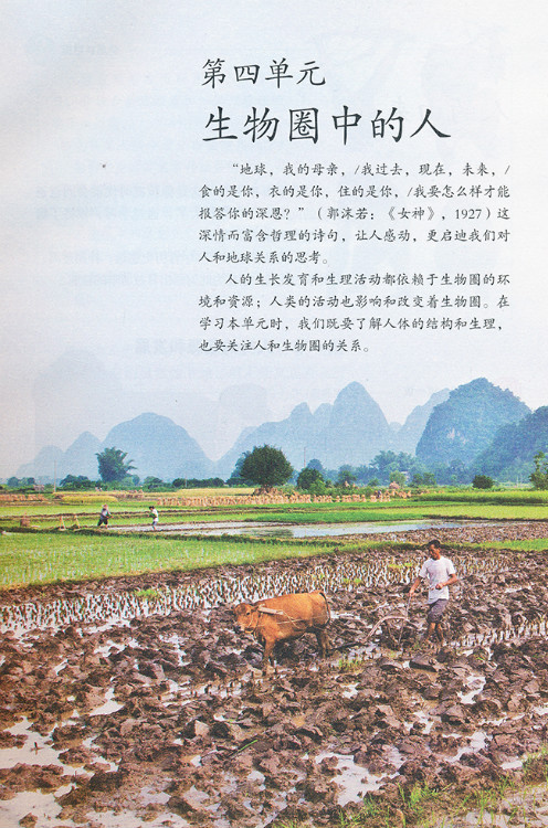 第四单元 生物圈中的人(第1页)