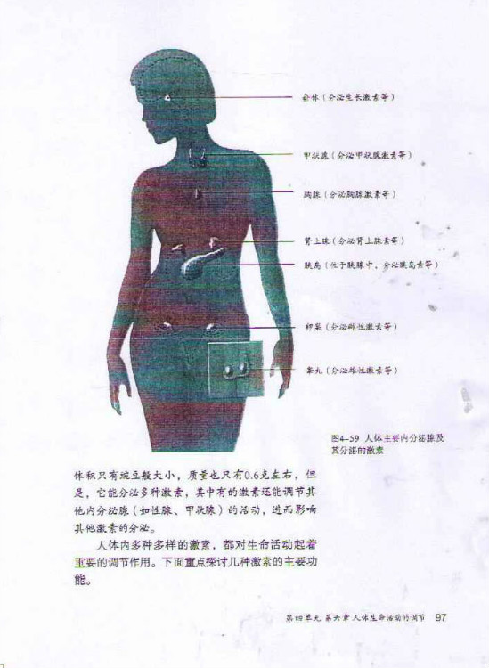 第四节 激素调节(第97页)