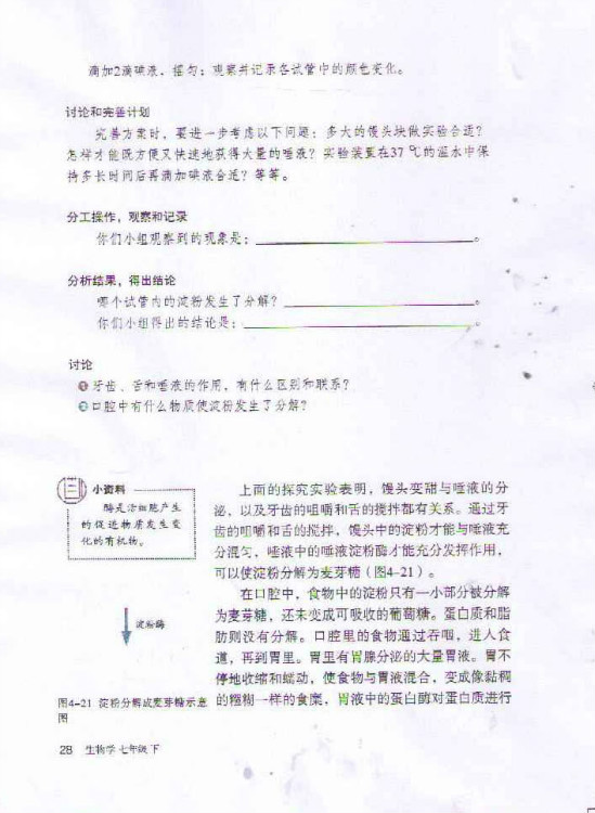 第二节 消化和吸收(第28页)