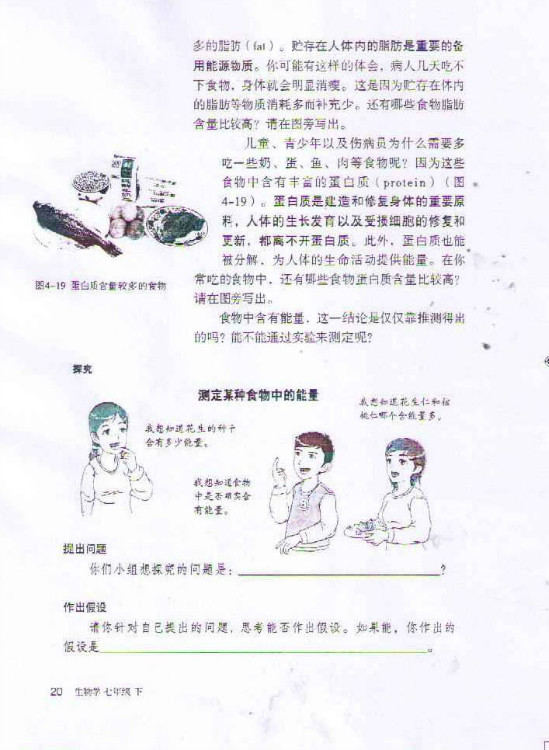 第一节 食物中的营养物质(第20页)