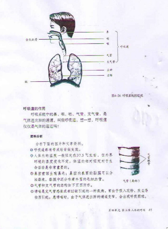 第一节 呼吸道对空气的处理(第41页)