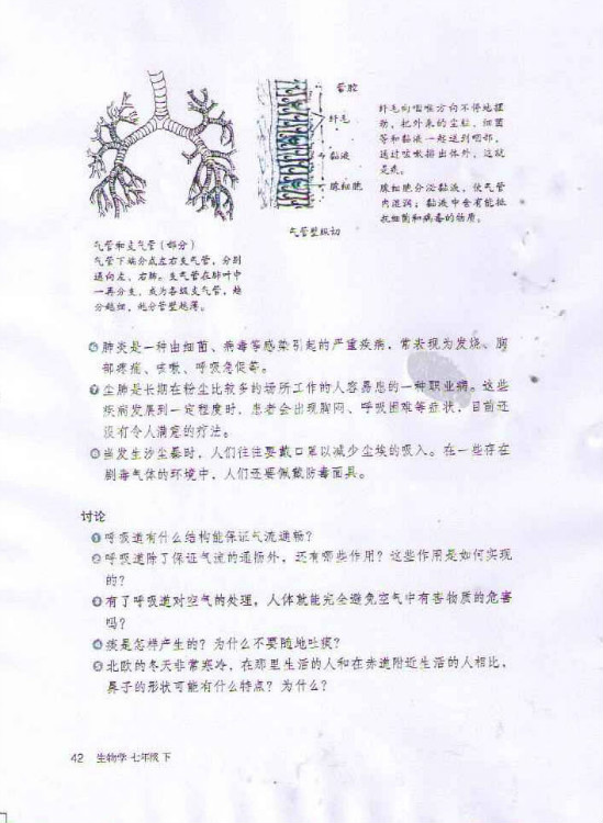 第一节 呼吸道对空气的处理(第42页)