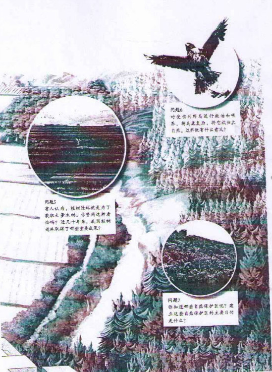 第一节 分析人类活动破坏生态环境的实例(第105页)