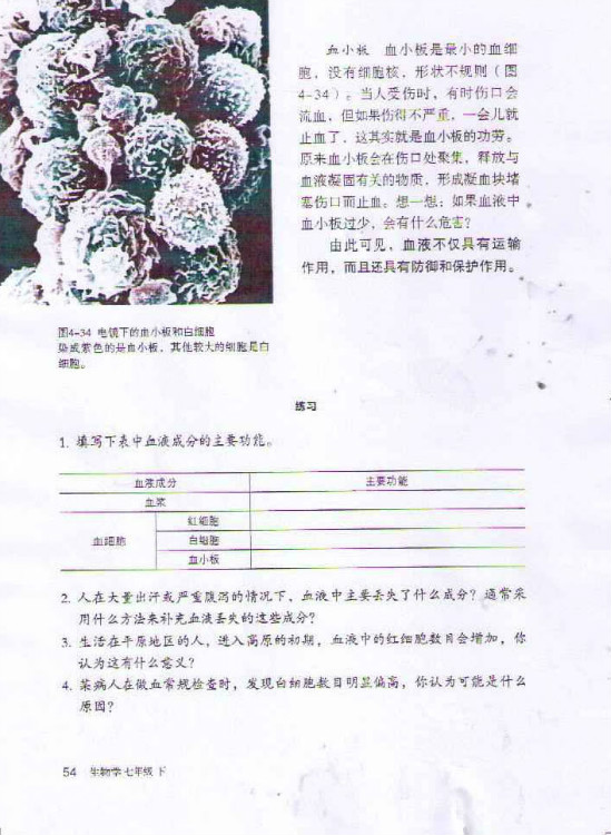 第一节 流动的组织──血液(第54页)