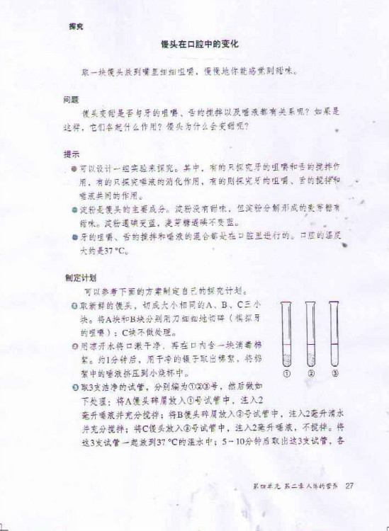 第二节 消化和吸收(第27页)