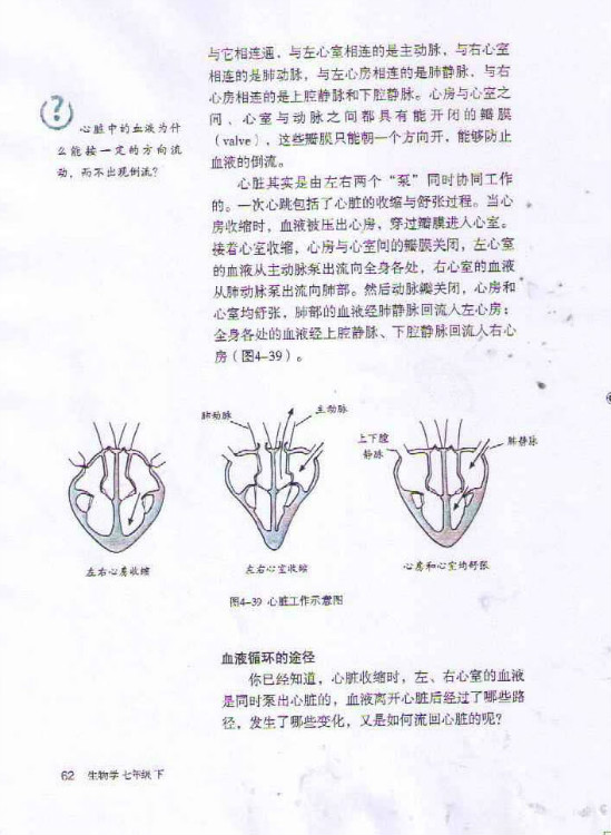 第三节 输送血液的泵──心脏(第62页)