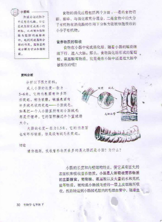 第二节 消化和吸收(第30页)