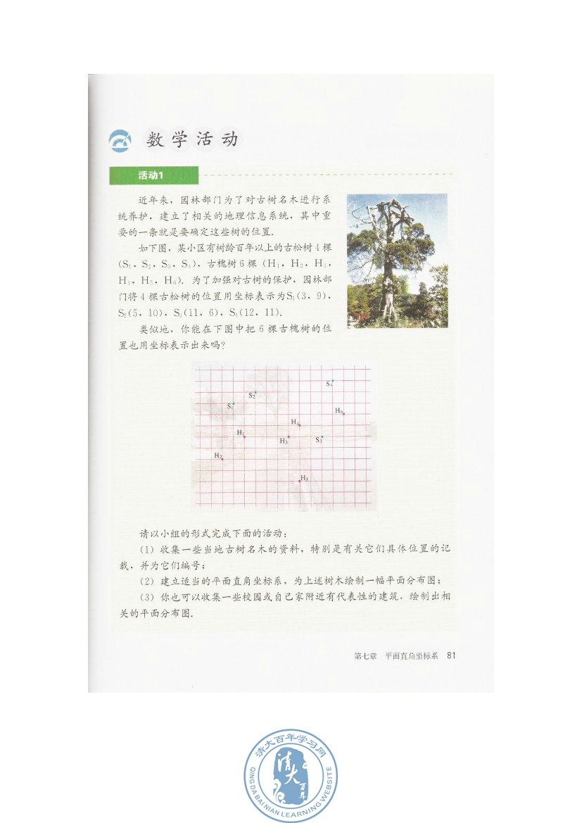 数学活动(第81页)