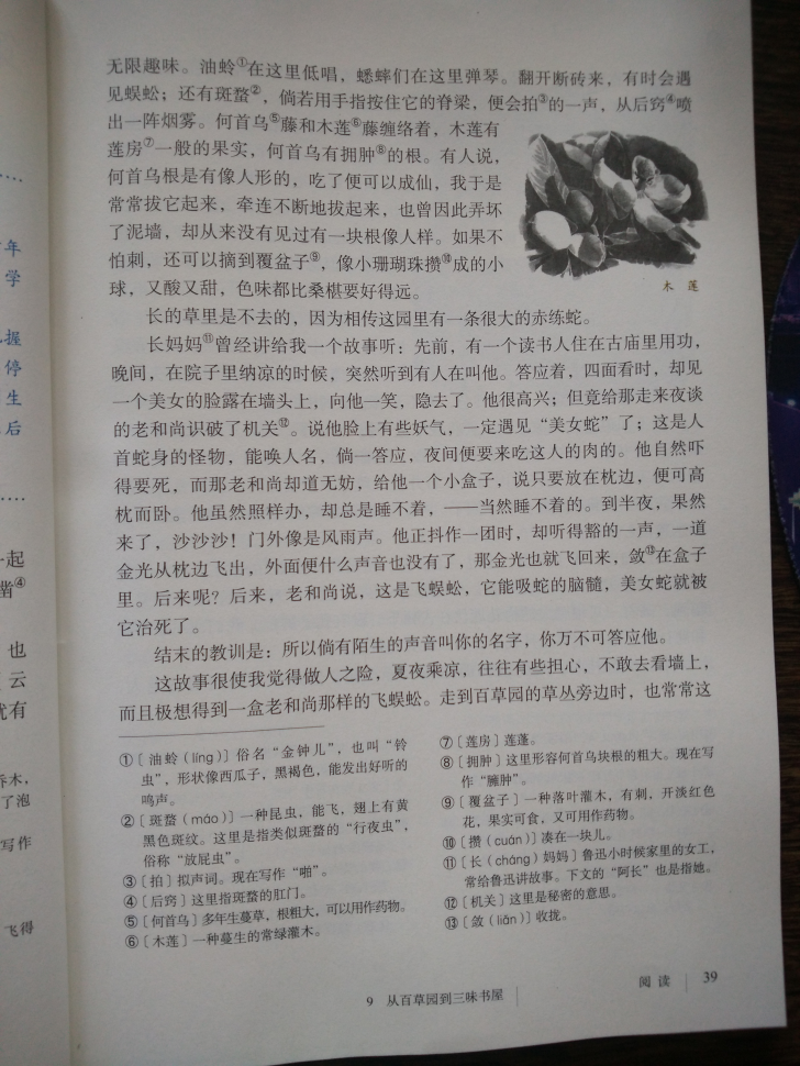 9 从百草园到三味书屋(第39页)