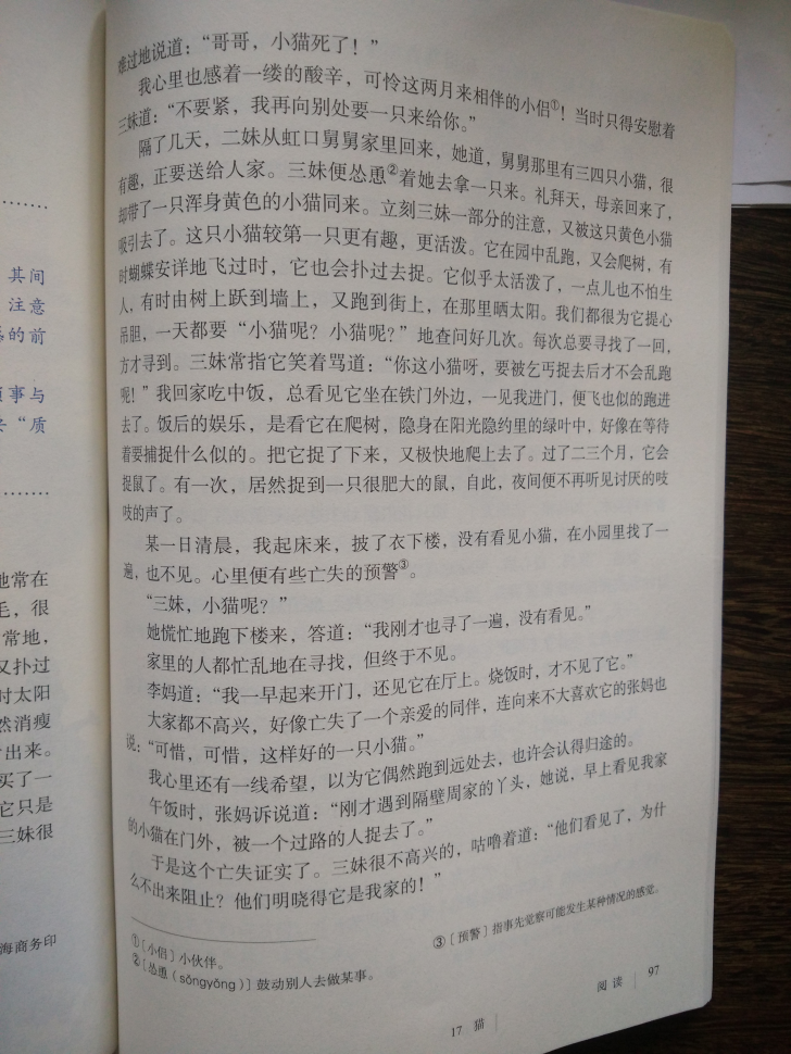 17 猫(第97页)
