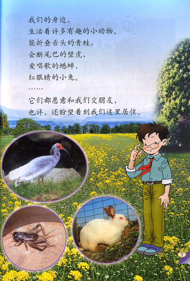 一 和动物交朋友(第3页)