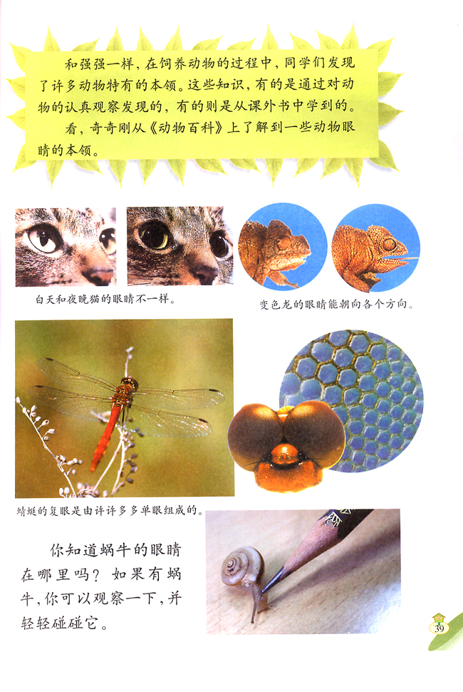 1 小动物本领大(第39页)