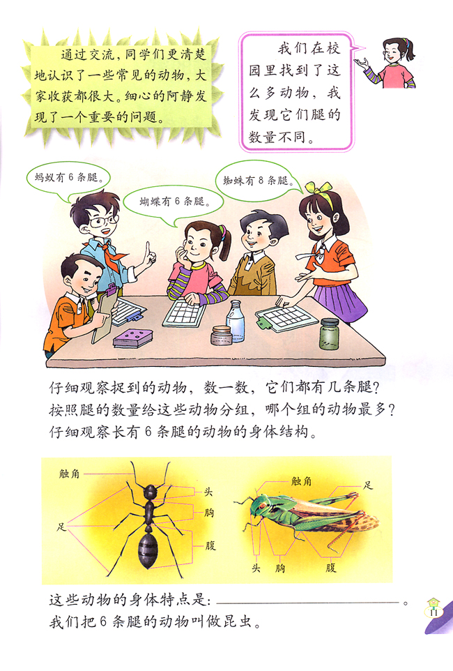 2 校园里的动物(第11页)