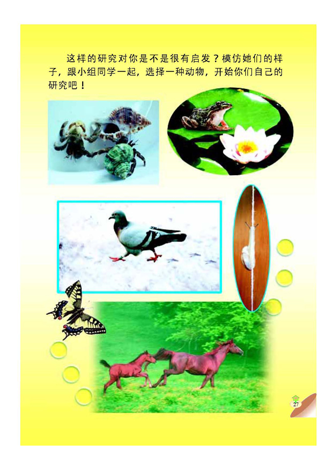 2 动物的身体和运动(第27页)